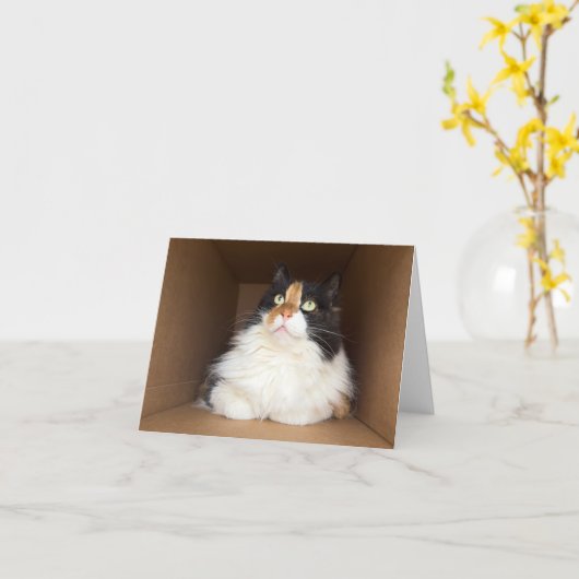 Coco the Kitty Cat Karte (Gelbe Blume)