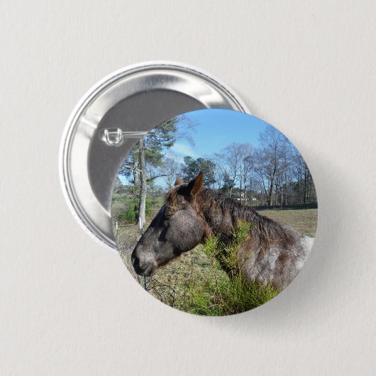 Coco und Creme: farbiges Pferd Button (Vorne & Hinten)