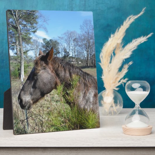 Coco und Creme: farbiges Pferd Fotoplatte (Seite)