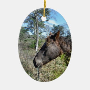 Coco und Creme: farbiges Pferd Keramik Ornament