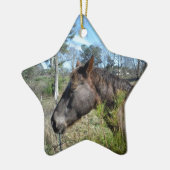 Coco und Creme: farbiges Pferd Keramikornament (Links)