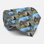 Coco und Creme: farbiges Pferd Krawatte (Gerollt)