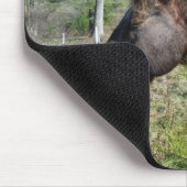 Coco und Creme: farbiges Pferd Mousepad (Ecke)