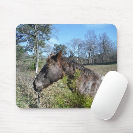 Coco und Creme: farbiges Pferd Mousepad (Mit Mouse)