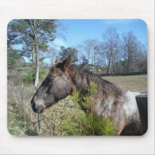 Coco und Creme: farbiges Pferd Mousepad