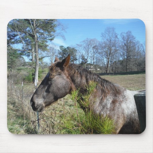 Coco und Creme: farbiges Pferd Mousepad (Vorne)