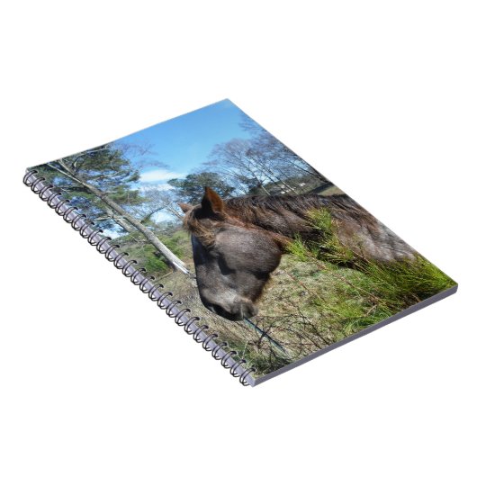 Coco und Creme: farbiges Pferd Notizblock (Rechte Seite)