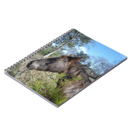 Coco und Creme: farbiges Pferd Notizblock (Linke Seite)