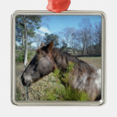 Coco und Creme: farbiges Pferd Silbernes Ornament (Vorne)