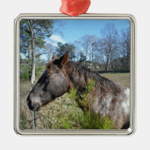 Coco und Creme: farbiges Pferd Silbernes Ornament