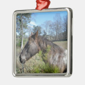 Coco und Creme: farbiges Pferd Silbernes Ornament (Links)