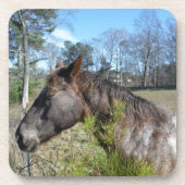 Coco und Creme: farbiges Pferd Untersetzer (Vorderseite)