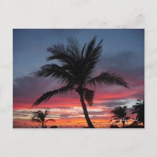 Coco von Guilian Buhl Postkarte