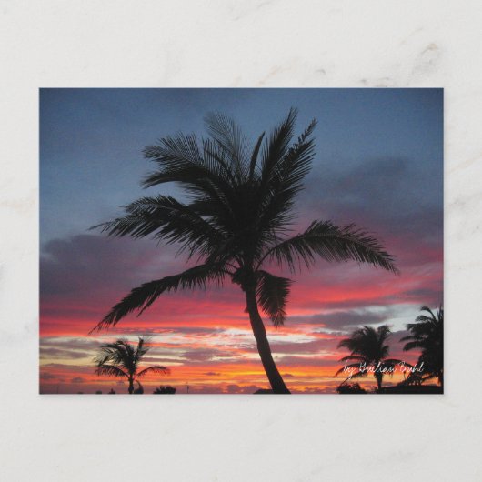 Coco von Guilian Buhl Postkarte (Vorderseite)