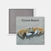 Cocoa Beach Crab Foto Magnet Florida (Vorderseite/Rückseite)