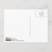 Cocoa Beach Paddleboarding Postkarte (Rückseite)