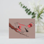 Cocoa Birdy Postcard Postkarte (Stehend Vorderseite)
