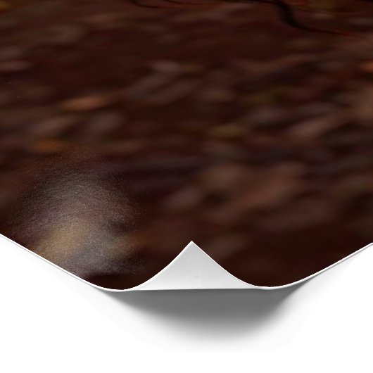 COCOA MAGIC POSTER (Ecke)