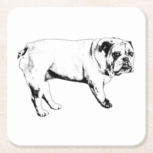 Cocoa Night Bulldog Untersetzer