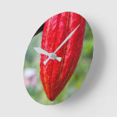 cocoa pod red runde wanduhr (Winkel)
