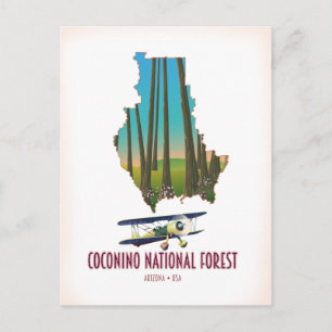 Coconino National Forest Arizona USA Karte