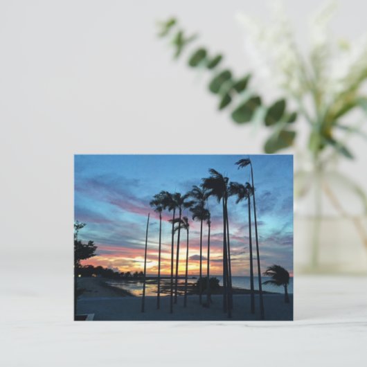 Coconut am Strand Postkarte (Stehend Vorderseite)