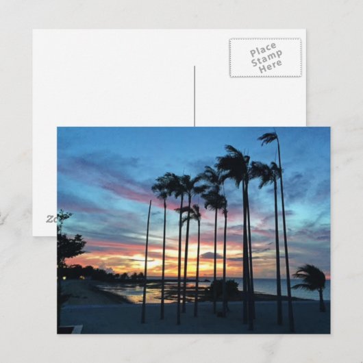 Coconut am Strand Postkarte (Vorne/Hinten)