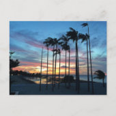 Coconut am Strand Postkarte (Vorderseite)