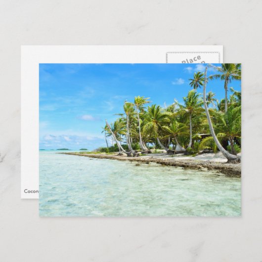 Coconut Beach Postkarte (Vorne/Hinten)
