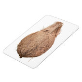 Coconut Foto Magnet (Linke Seite)