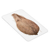 Coconut Foto Magnet (Rechte Seite)