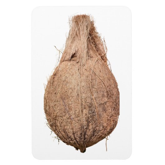 Coconut Foto Magnet (Vertikal)