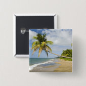 Coconut Grove Beach in Cades Bay, mit St. 2 Button (Vorne & Hinten)