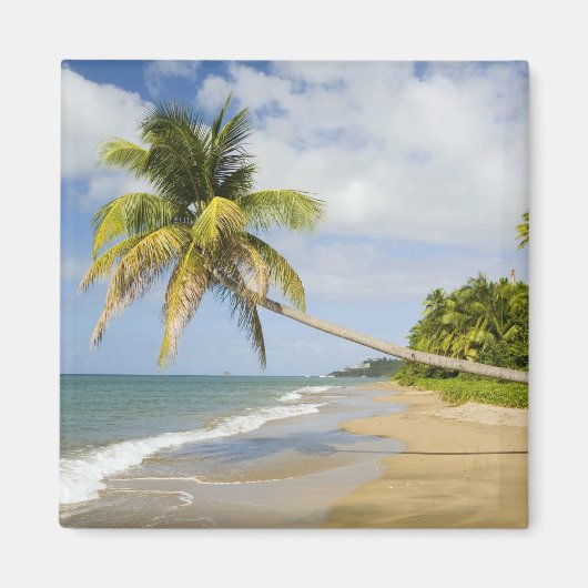 Coconut Grove Beach in Cades Bay, mit St. 2 Magnet (Vorne)
