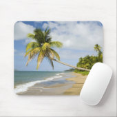 Coconut Grove Beach in Cades Bay, mit St. 2 Mousepad (Mit Mouse)