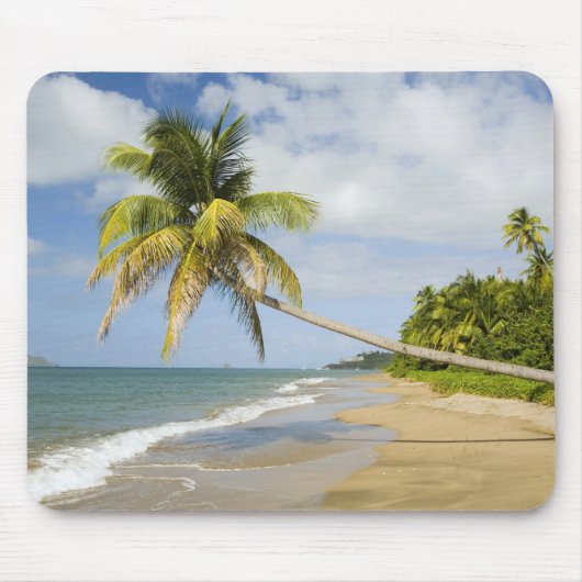 Coconut Grove Beach in Cades Bay, mit St. 2 Mousepad (Vorne)
