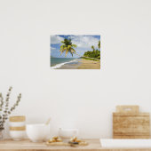 Coconut Grove Beach in Cades Bay, mit St. 2 Poster (Küche)