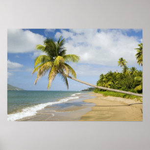 Coconut Grove Beach in Cades Bay, mit St. 2 Poster