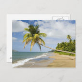 Coconut Grove Beach in Cades Bay, mit St. 2 Postkarte (Vorne/Hinten)