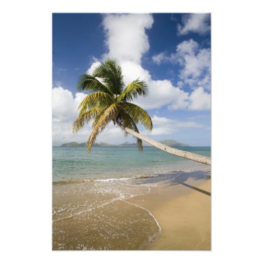 Coconut Grove Beach in Cades Bay, mit St. Fotodruck (Vorne)