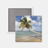 Coconut Grove Beach in Cades Bay, mit St. Magnet (Vorderseite/Rückseite)