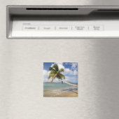 Coconut Grove Beach in Cades Bay, mit St. Magnet (In Situ (Geschirrspüler))