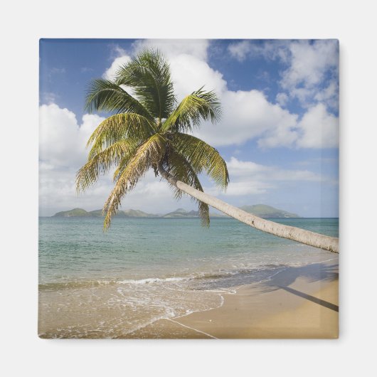Coconut Grove Beach in Cades Bay, mit St. Magnet (Vorne)