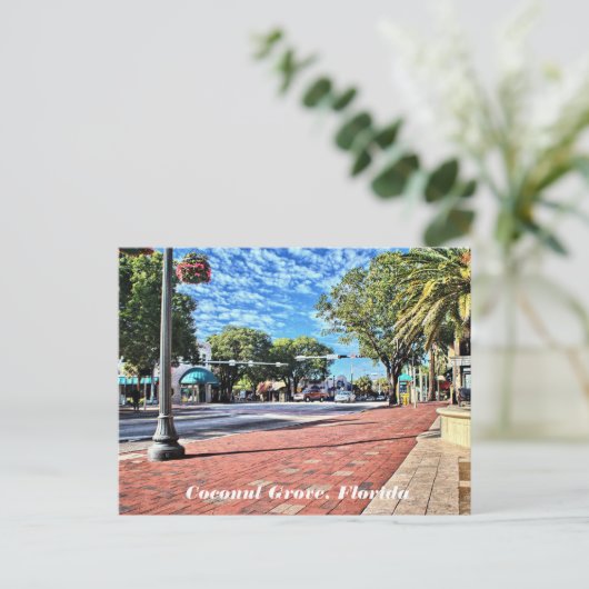 Coconut Grove, Florida Postcard Postkarte (Stehend Vorderseite)
