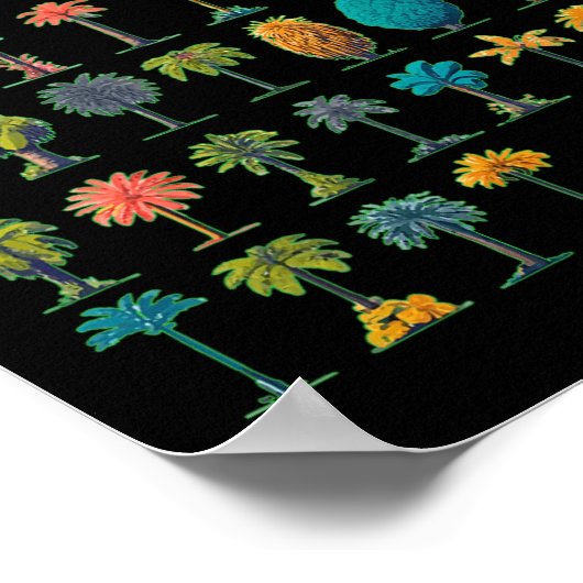 Coconut Grove Florida Poster (Ecke)