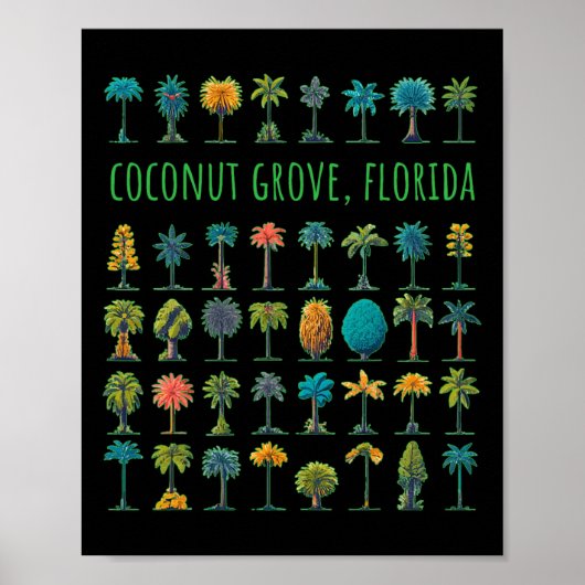 Coconut Grove Florida Poster (Vorne)