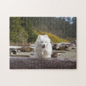 Coconut Log Puzzle (Horizontal)