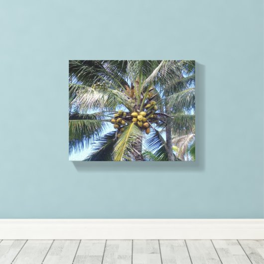 Coconut Palm 8x10" Canvas Print Leinwanddruck (Insitu (Holzboden))