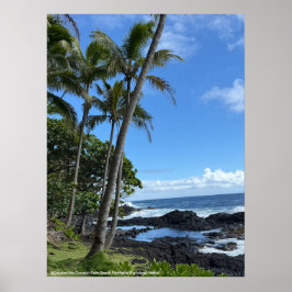 Coconut Palm Beach Hawaii Poster @3Typs1life