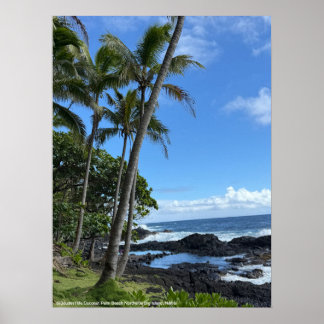 Coconut Palm Beach Hawaii Poster @3Typs1life